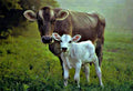 HOW TO IMPROVE EARLY LACTATION PERFORMANCE FOR HIGHER PEAK MILK YIELD?