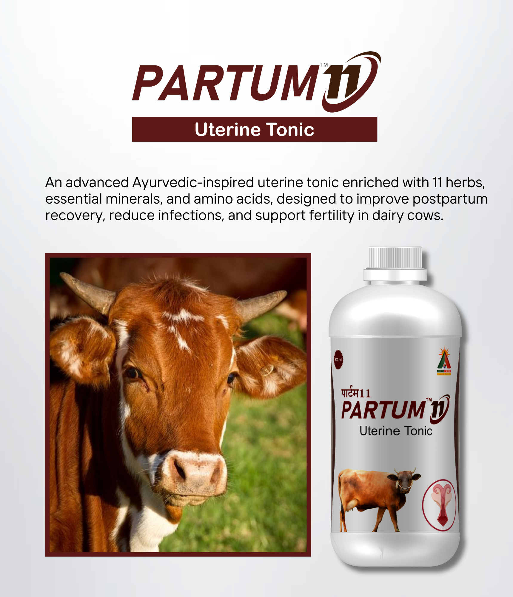 Partum-11