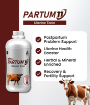 Partum-11