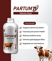 Partum-11