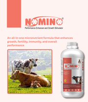 Nomino
