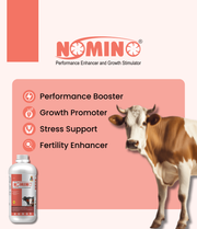 Nomino
