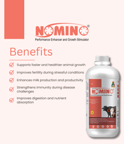 Nomino