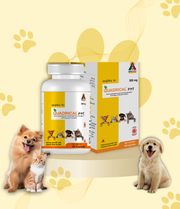 Quadrical Pet