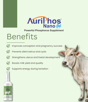 Auriphos nano gel