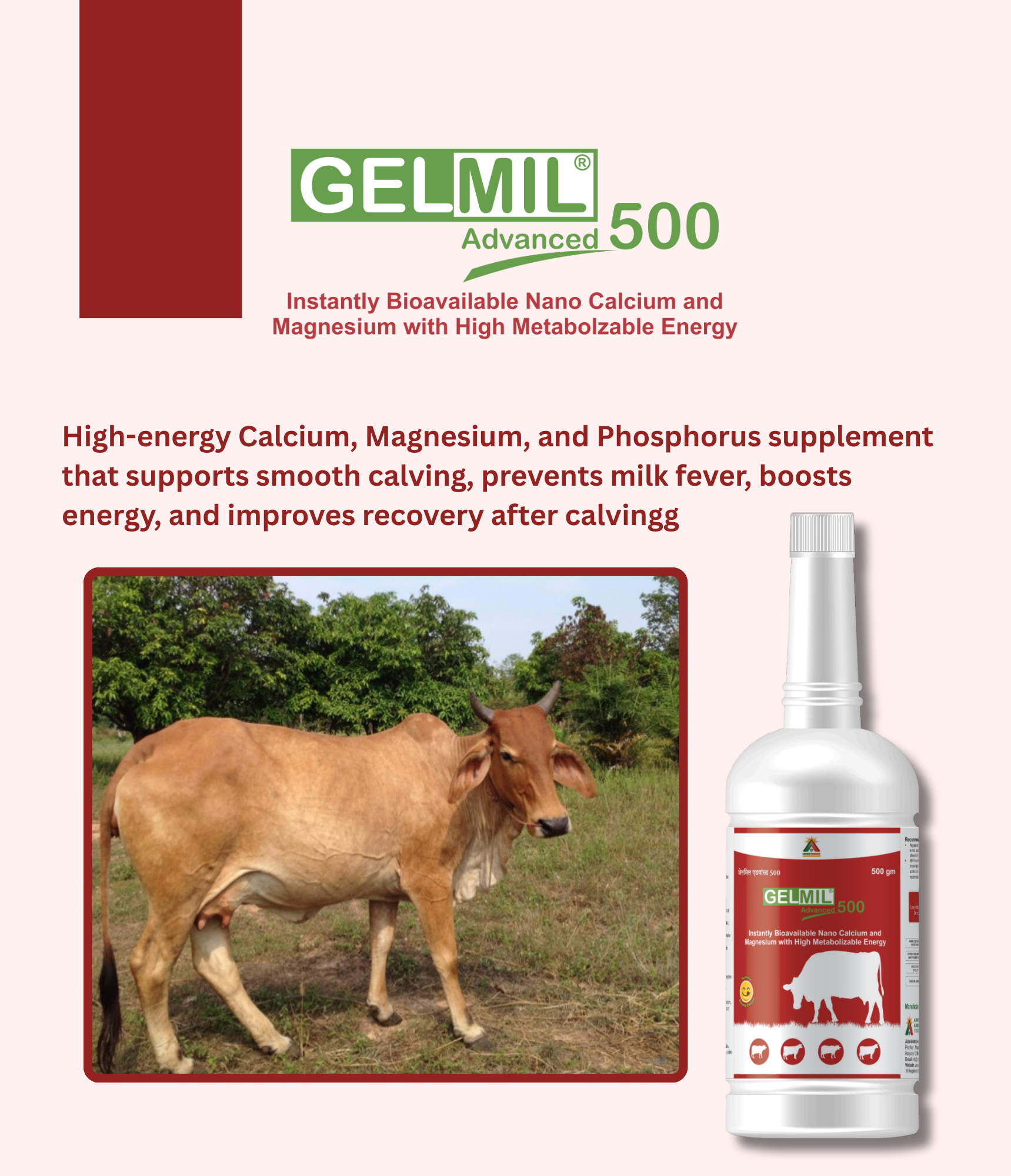 Gelmil Advanced 500