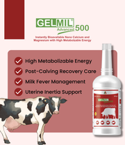 Gelmil Advanced 500