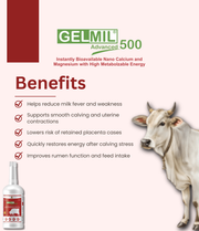 Gelmil Advanced 500