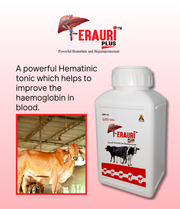 Ferauri Plus