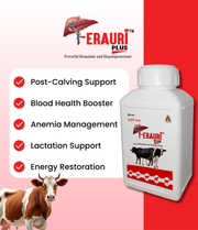 Ferauri Plus