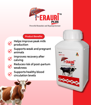Ferauri Plus