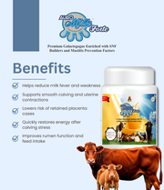 Auromilk Forte
