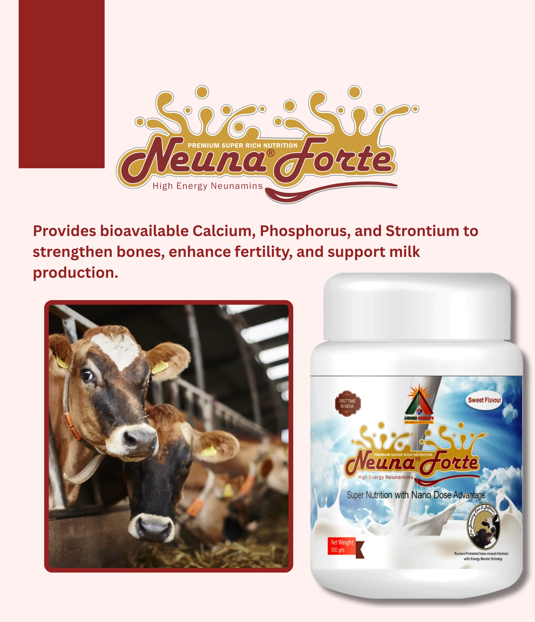 Neuna® Forte