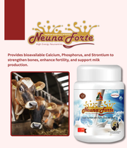 Neuna® Forte