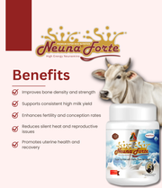 Neuna® Forte