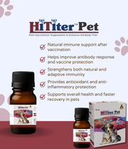 Hititer pet