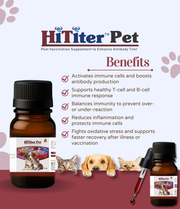Hititer pet