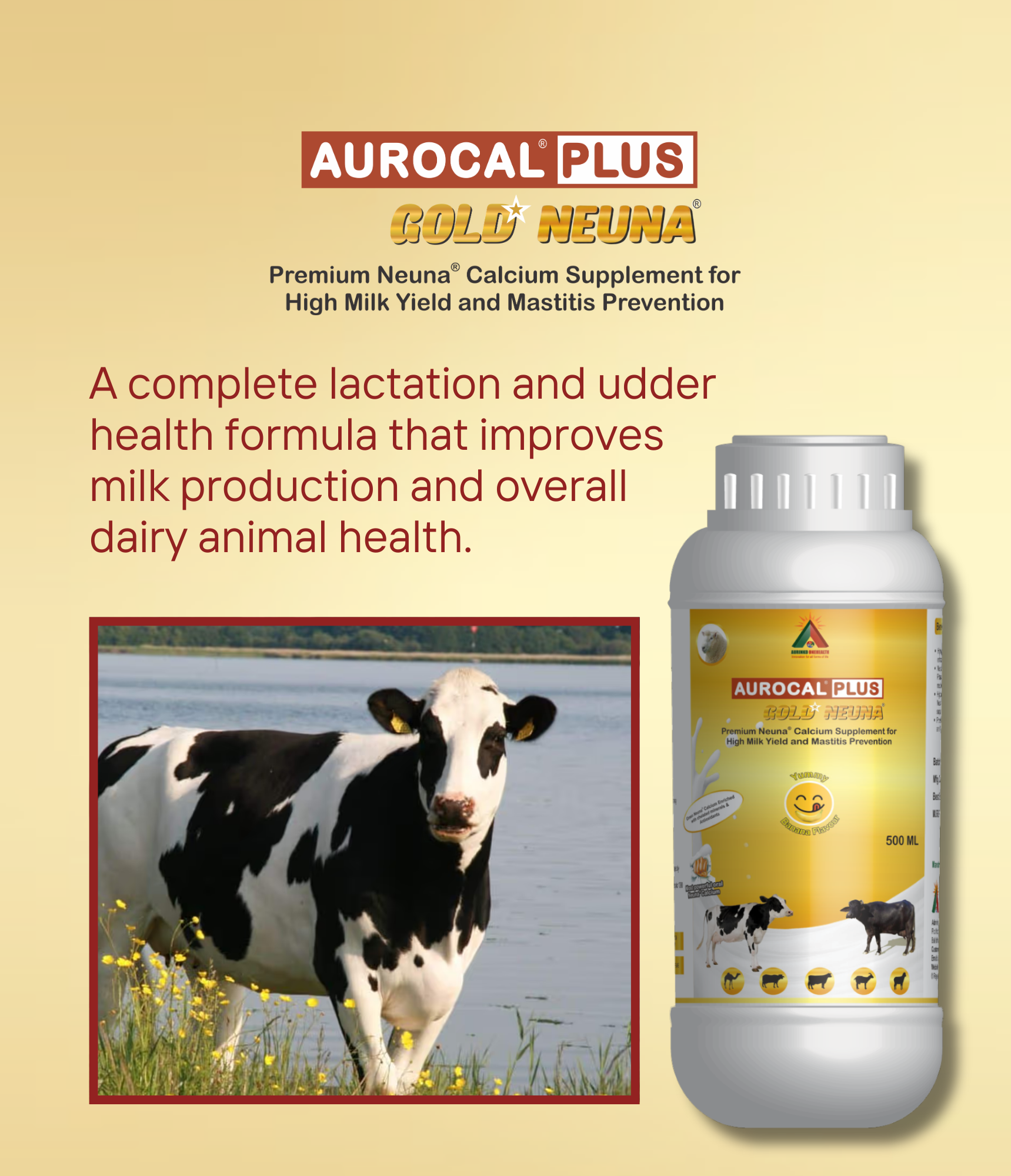 Aurocal Plus Gold Neuna