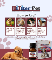 Hititer pet