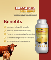 Aurocal Plus Gold Neuna
