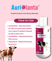 Auriplanta