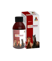AuroRD™ Equine