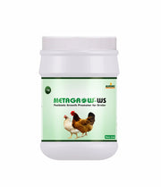 Metagrow–WS-Postbiotic growth promoter for broilers