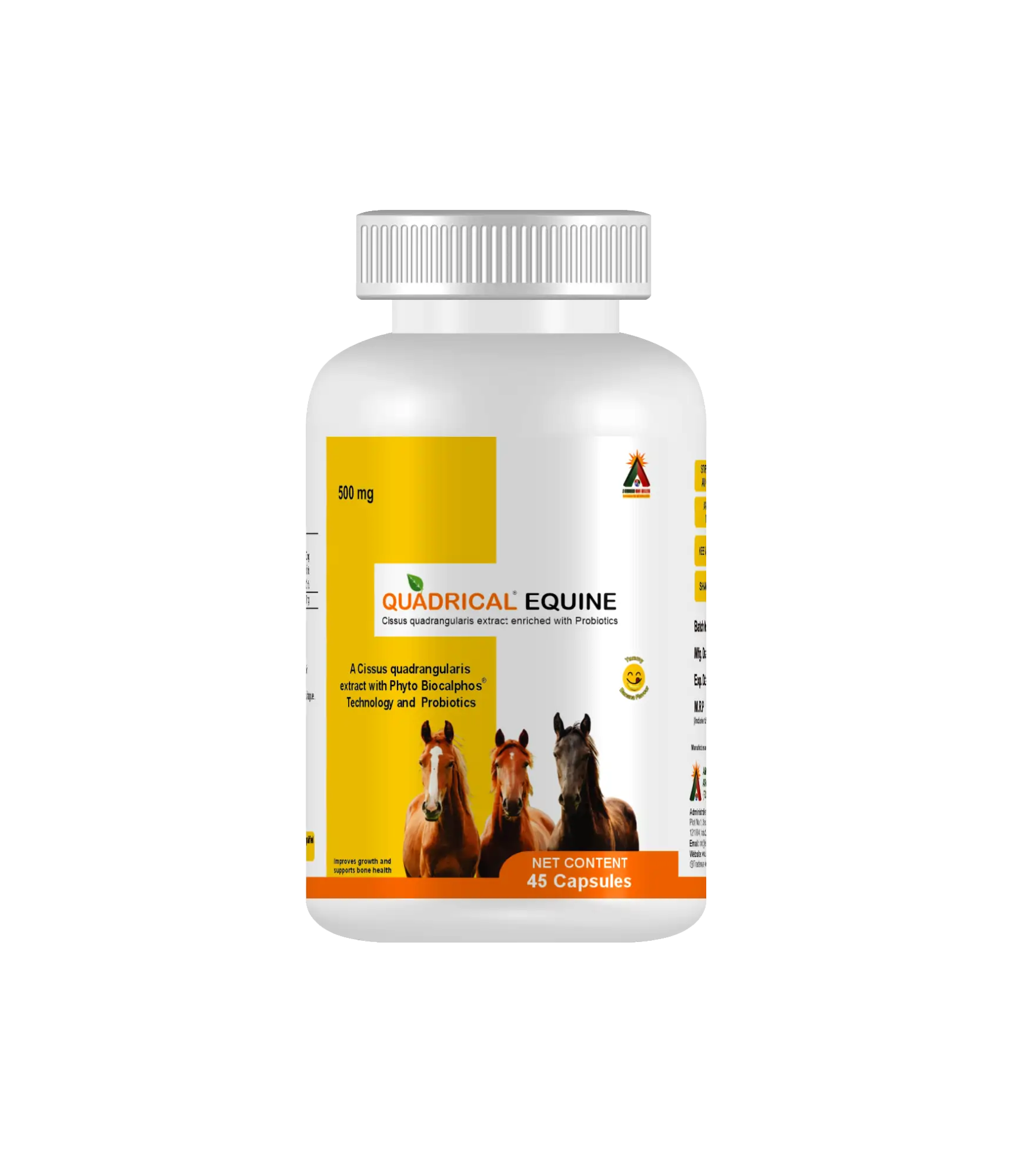 Quadrical® Equine