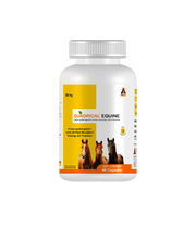 Quadrical® Equine