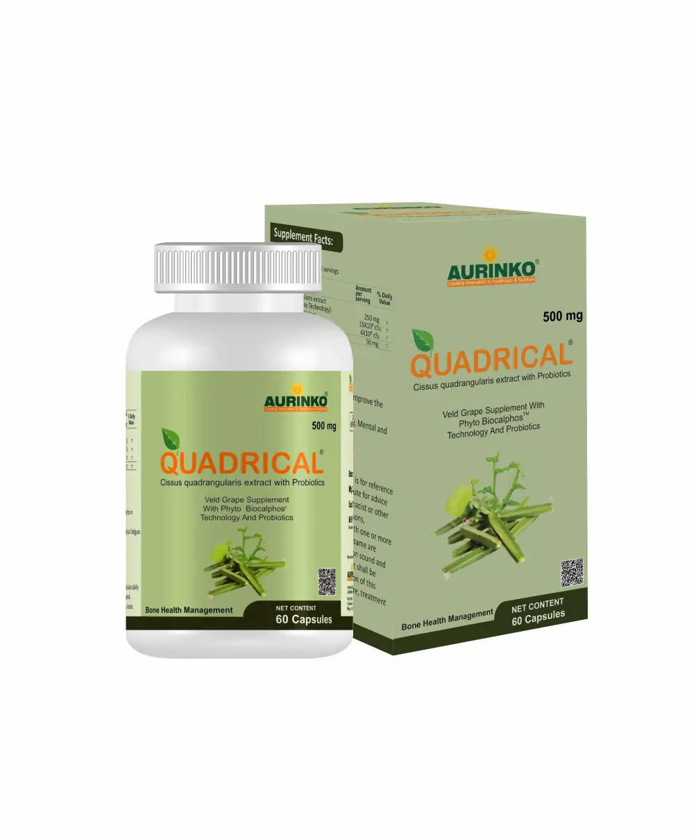 Quadrical-Complementary Food Supplement Cissus quadrangularis extract with Probiotics