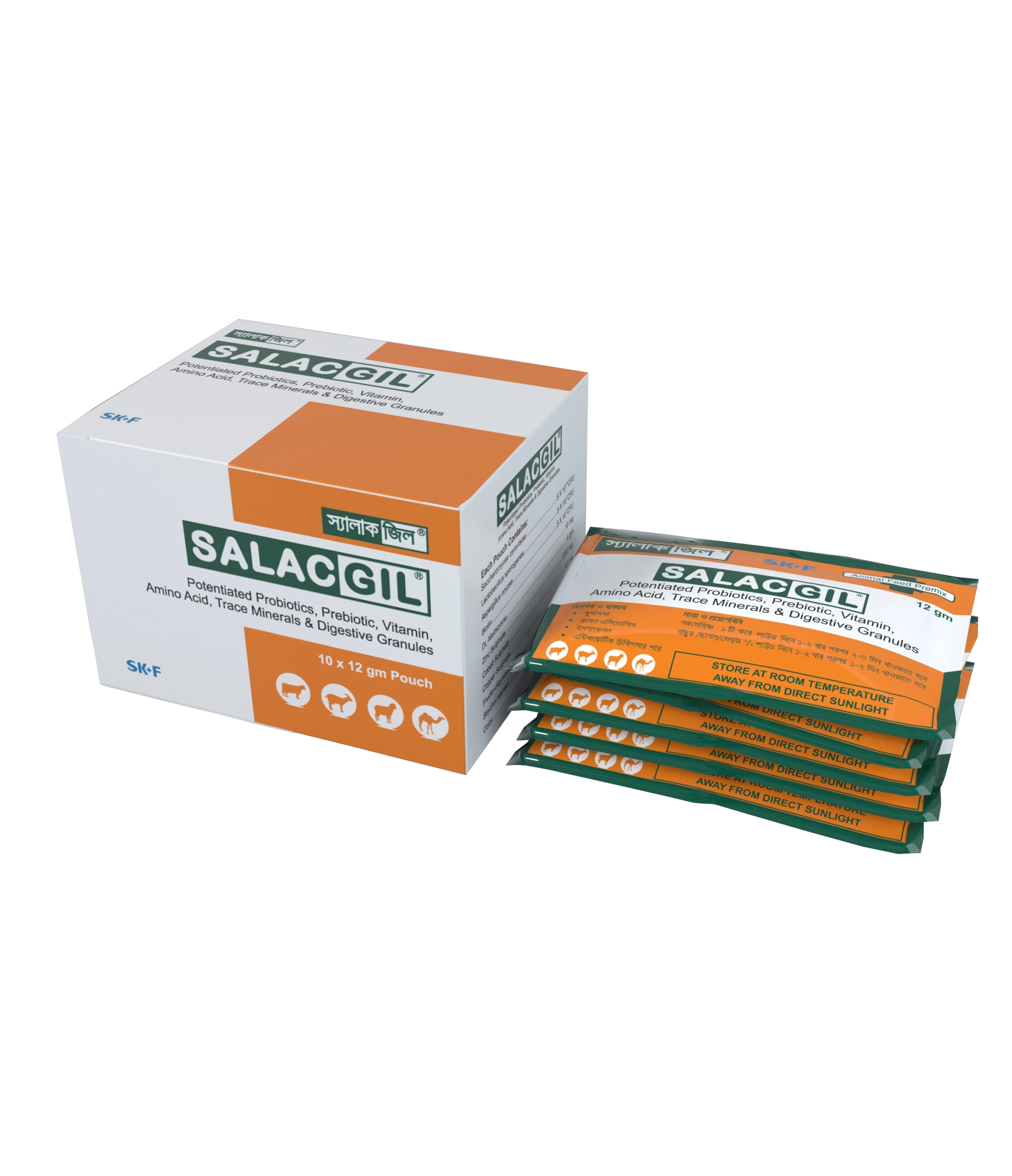 Salacgil