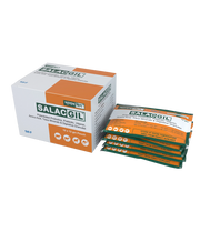 Salacgil